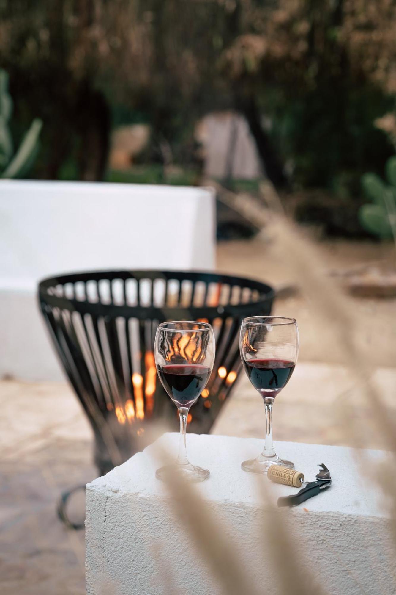 Aldea Del Valle - Elqui Villas, Pisco Elqui Eksteriør billede