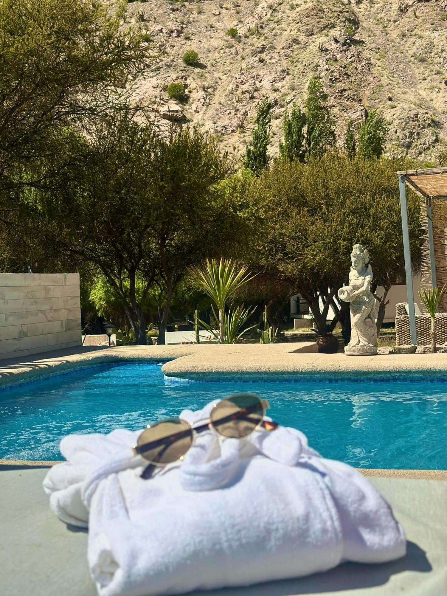 Aldea Del Valle - Elqui Villas, Pisco Elqui Eksteriør billede