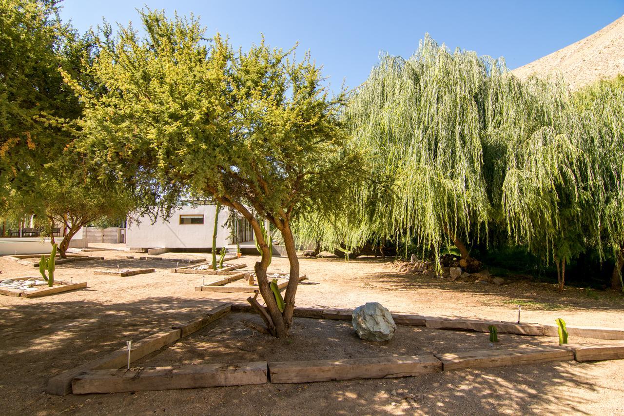 Aldea Del Valle - Elqui Villas, Pisco Elqui Eksteriør billede
