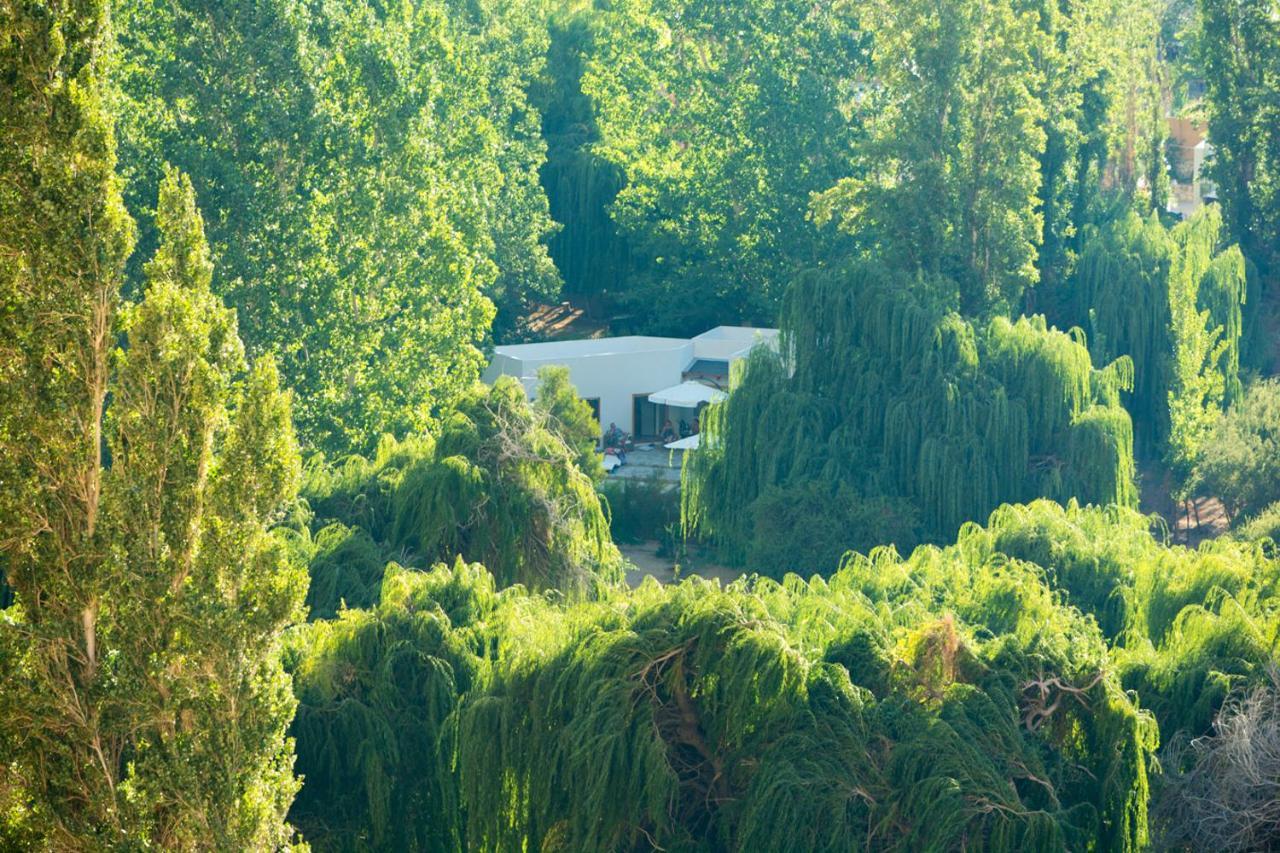 Aldea Del Valle - Elqui Villas, Pisco Elqui Eksteriør billede