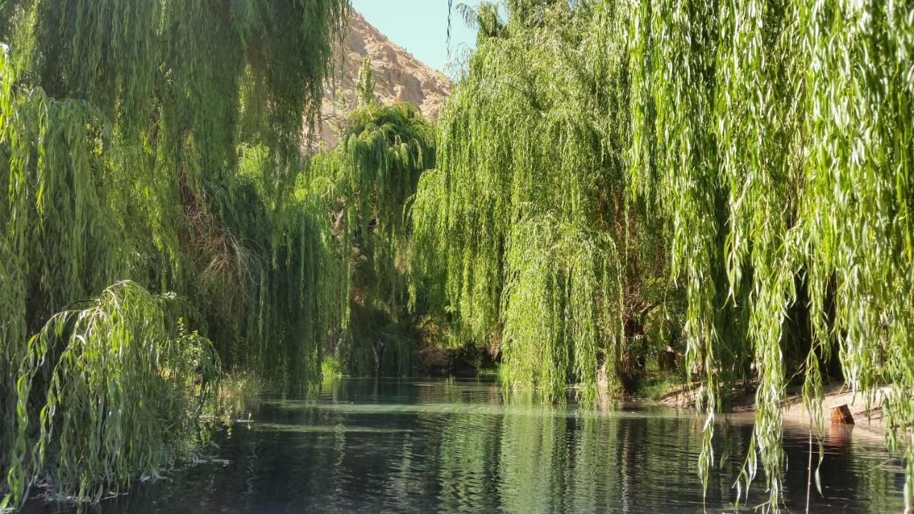 Aldea Del Valle - Elqui Villas, Pisco Elqui Eksteriør billede